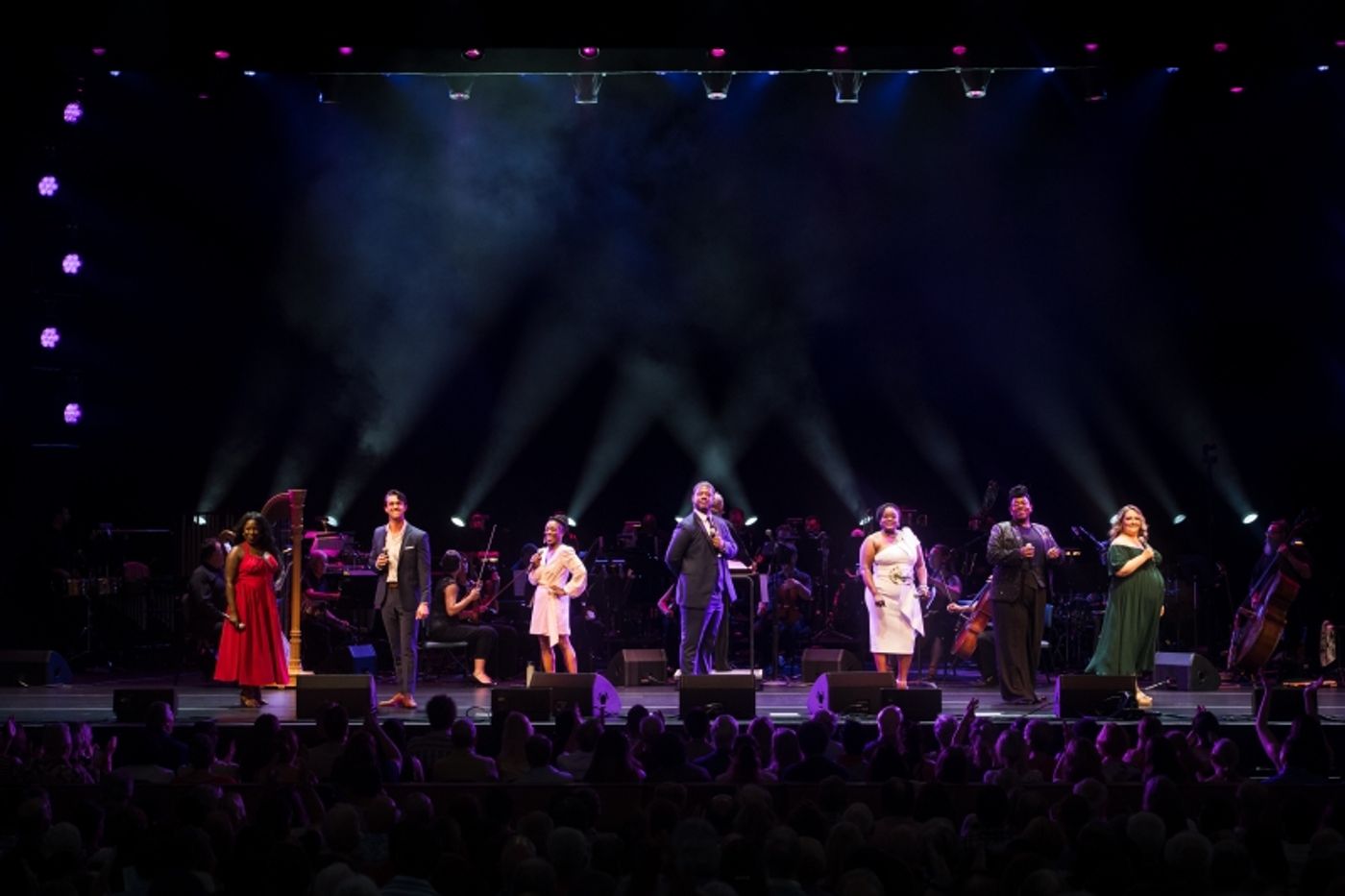 Review: BROADWAY IN THE PARK by Signature Theatre and Wolf Trap  Image