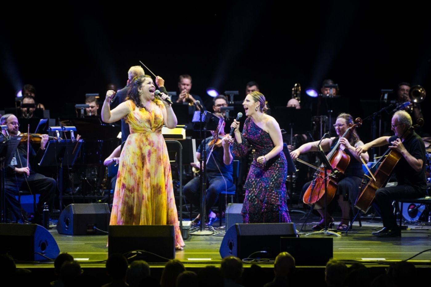 Review: BROADWAY IN THE PARK by Signature Theatre and Wolf Trap  Image