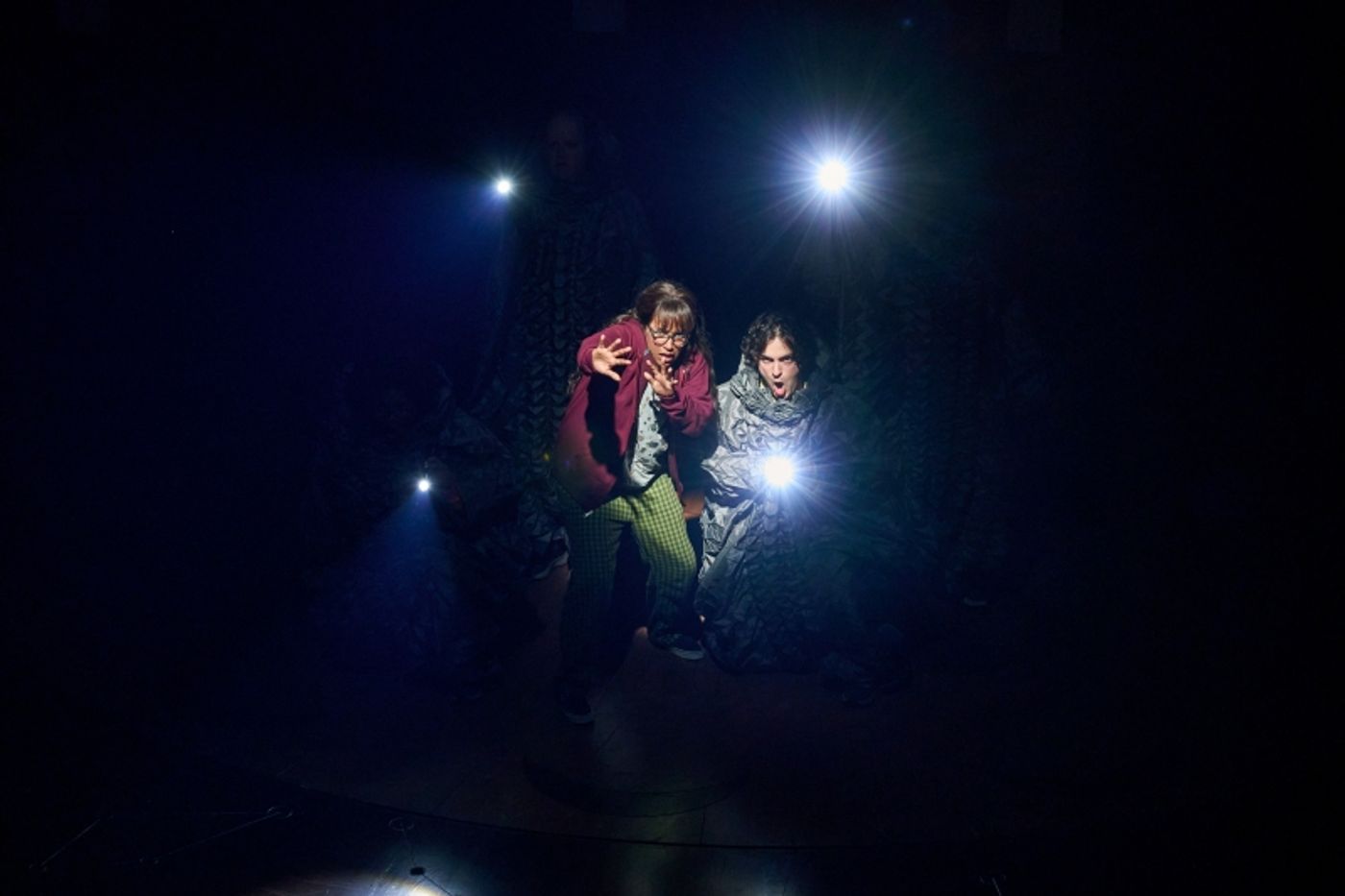 Review: A WRINKLE IN TIME at Arena Stage  Image