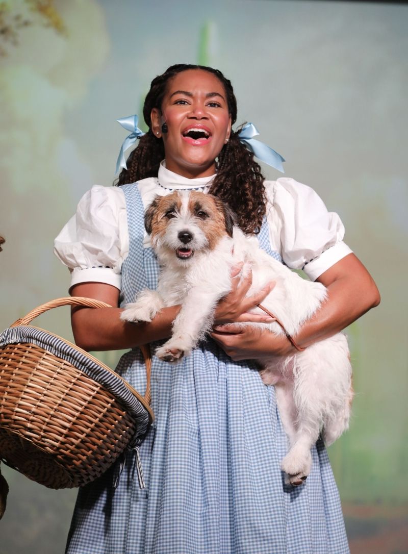 Review: THE WIZARD OF OZ at Murry's Dinner Playhouse  Image