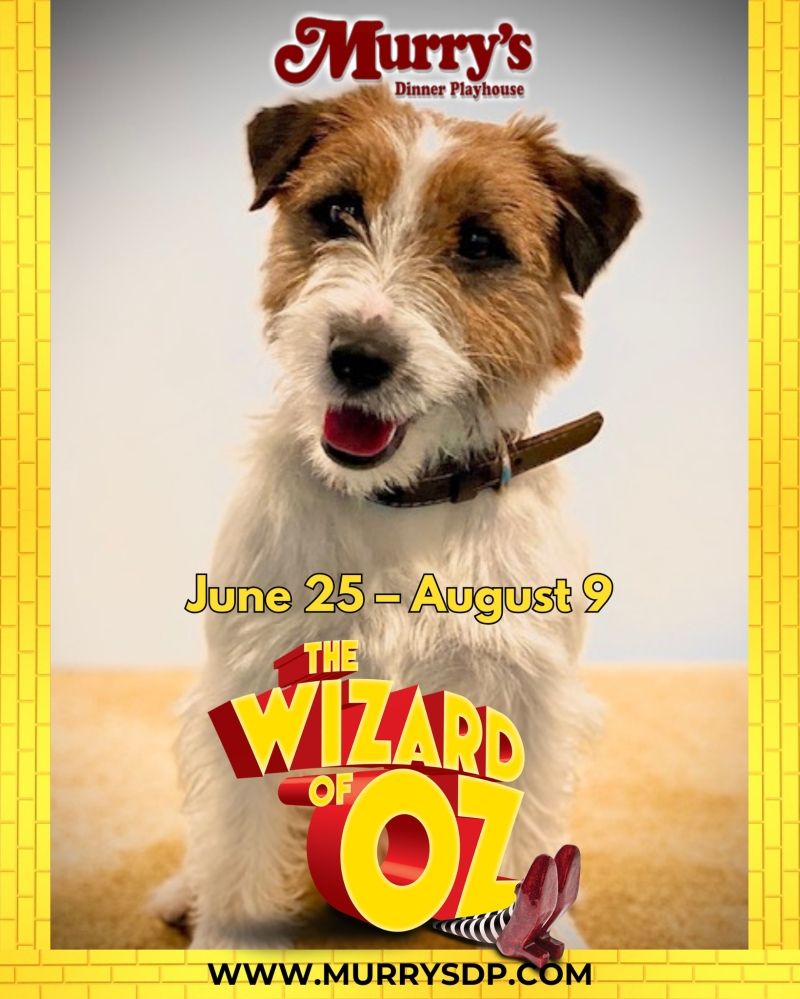 Review: THE WIZARD OF OZ at Murry's Dinner Playhouse  Image