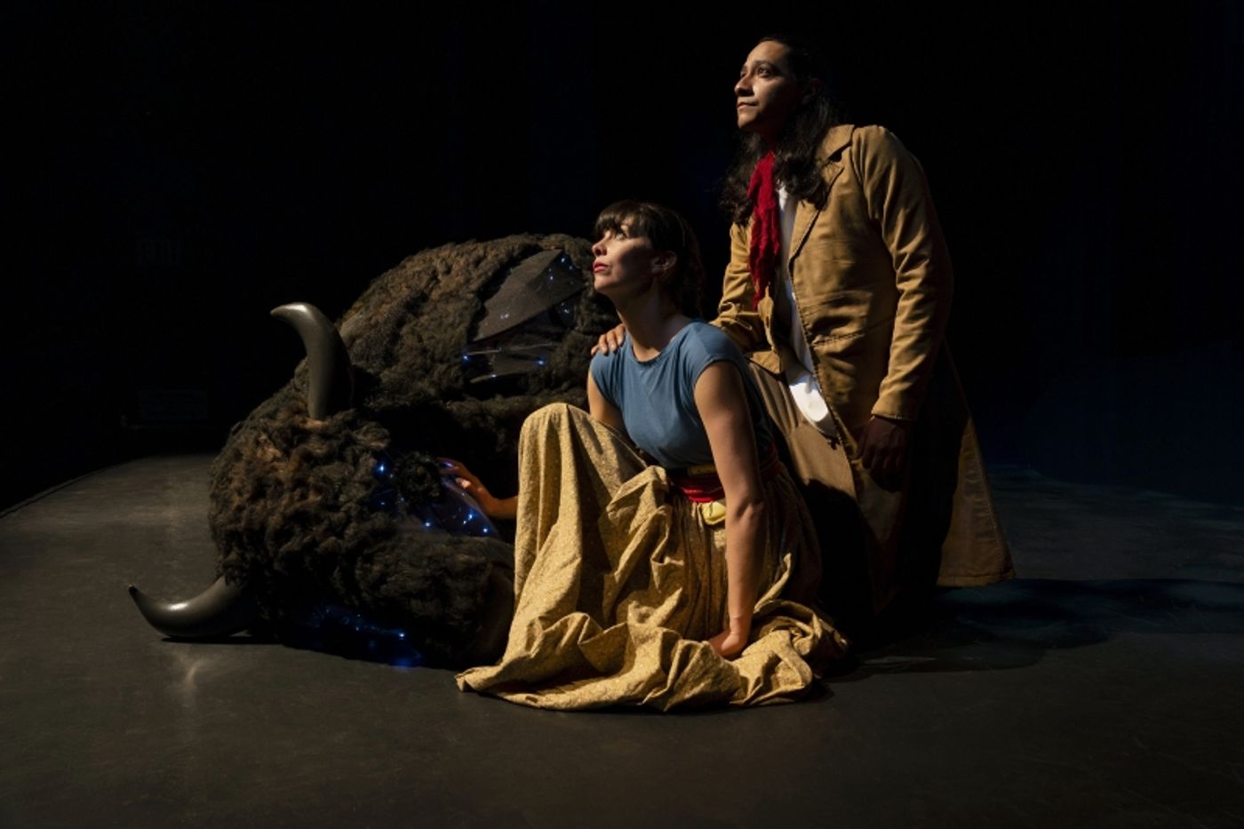 Photo - Where Have All the Buffalo Gone?