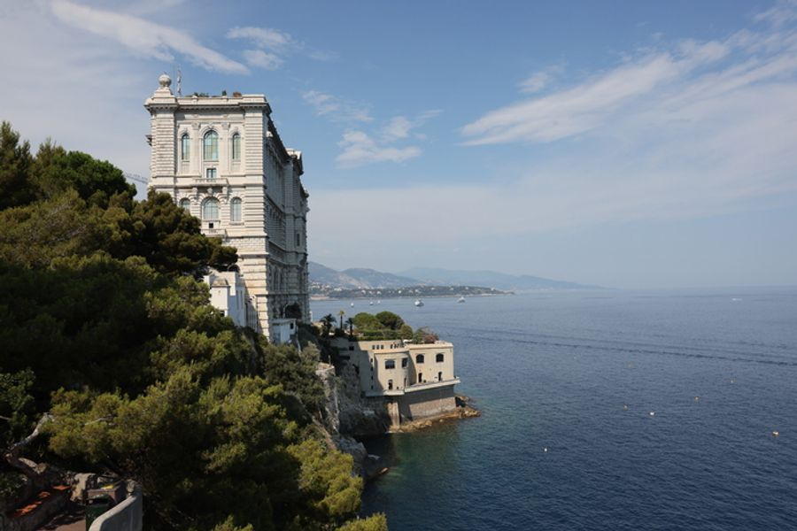 Photos: JAWS @ 50: THE DEFINITIVE INSIDE STORY Makes A Splash At European Premiere In Monaco Image