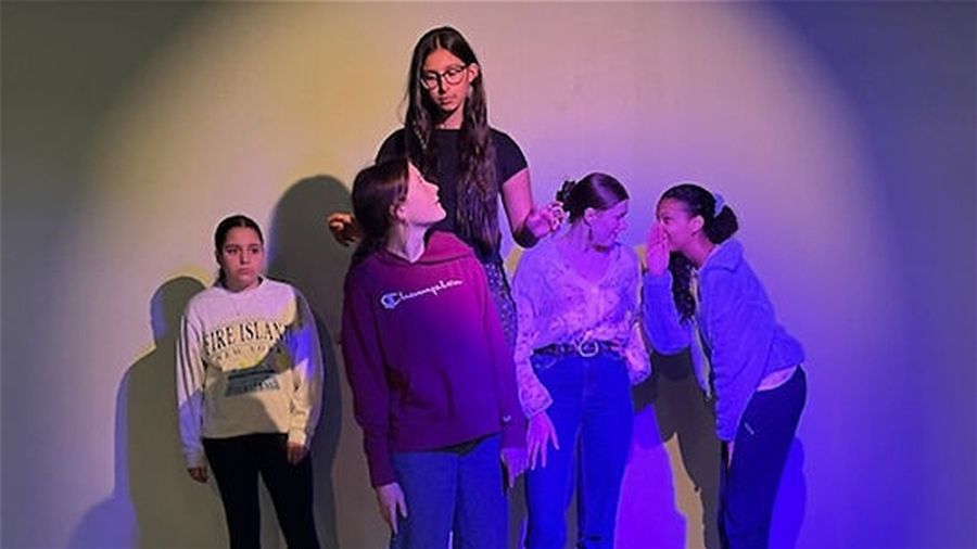 Review: TORONTO FRINGE FESTIVAL Review Roundup Featuring ACTING LESSONS and More Image