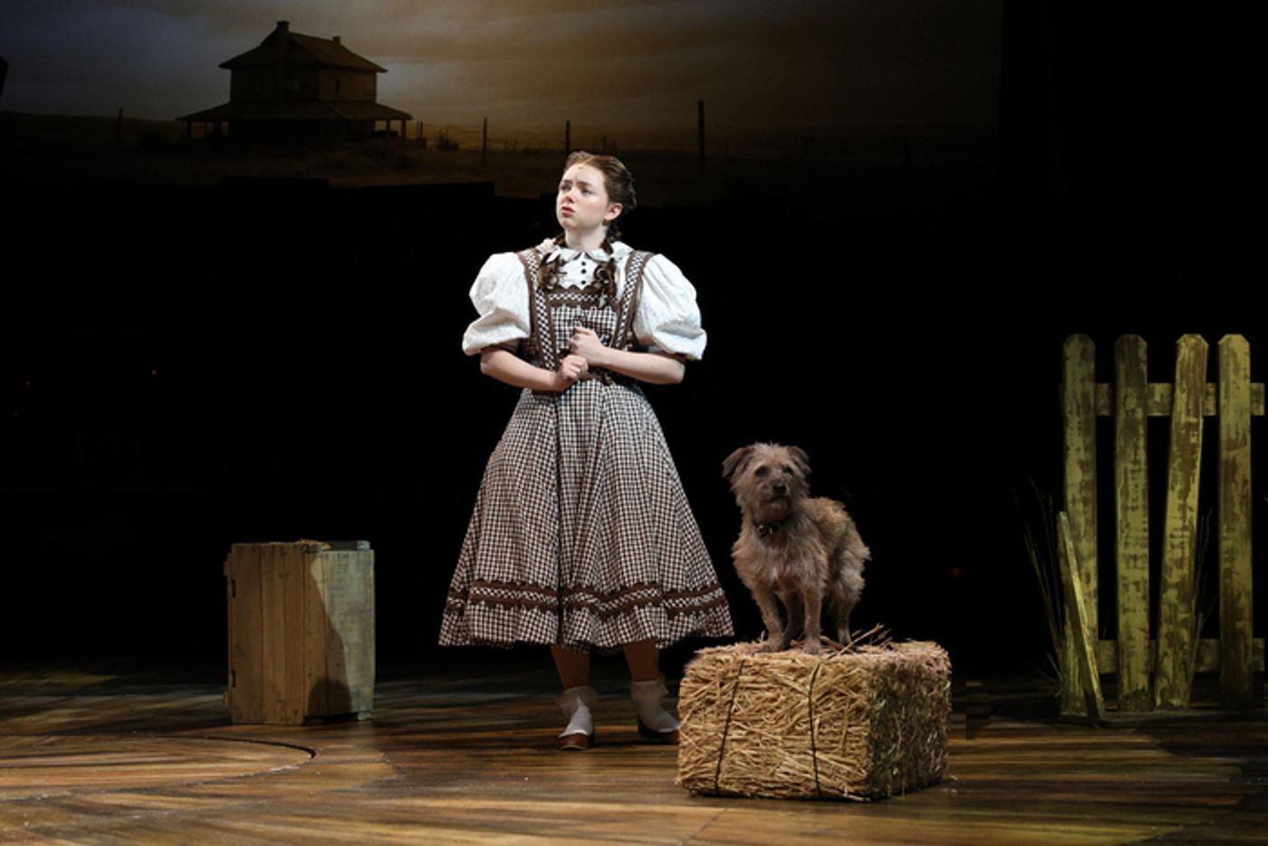 Photos: THE WIZARD OF OZ at North Shore Music Theatre  Image