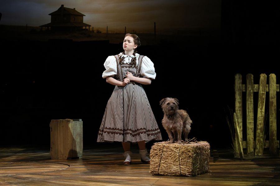 Photos: THE WIZARD OF OZ at North Shore Music Theatre Image
