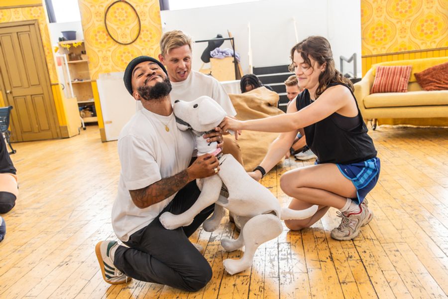 Photos: 101 DALMATIANS in Rehearsal Ahead of Run at the Eventim Apollo in Hammersmith  Image