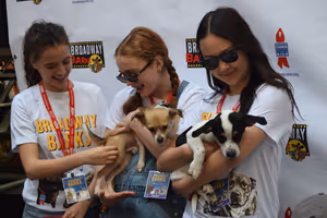 Fina Strazza, Sadie Sink, Amalia Yoo Photo
