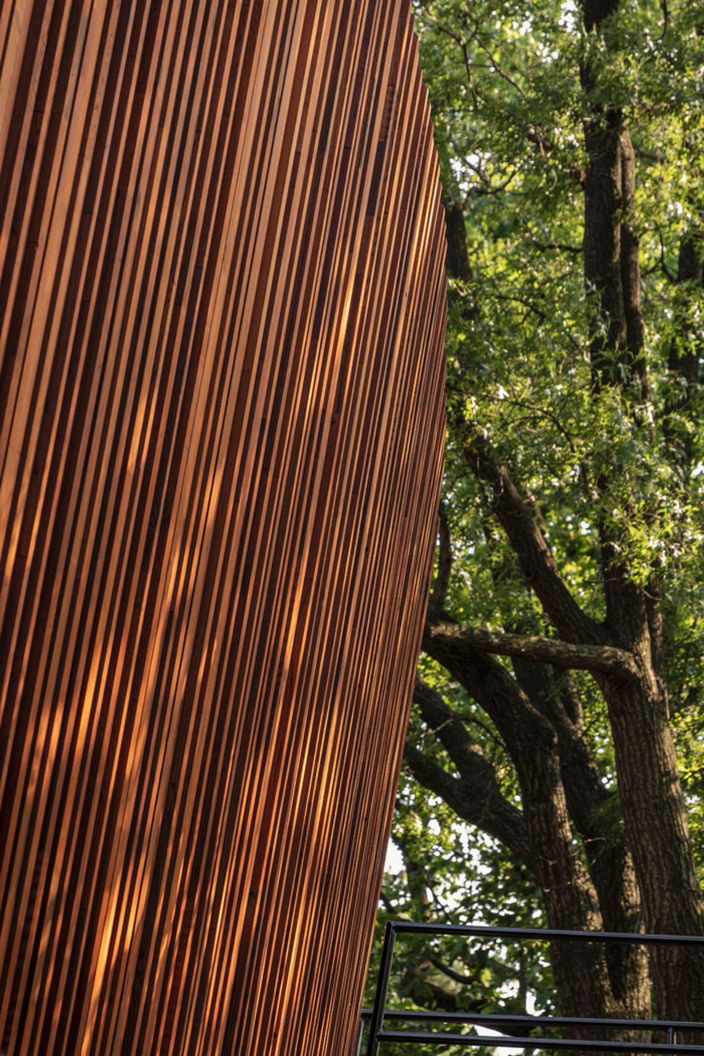 Photos: First Look at the Revitalized Delacorte Theater  Image