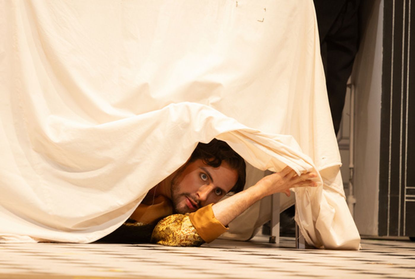 Photos: THE MARRIAGE OF FIGARO At The Santa Fe Opera  Image