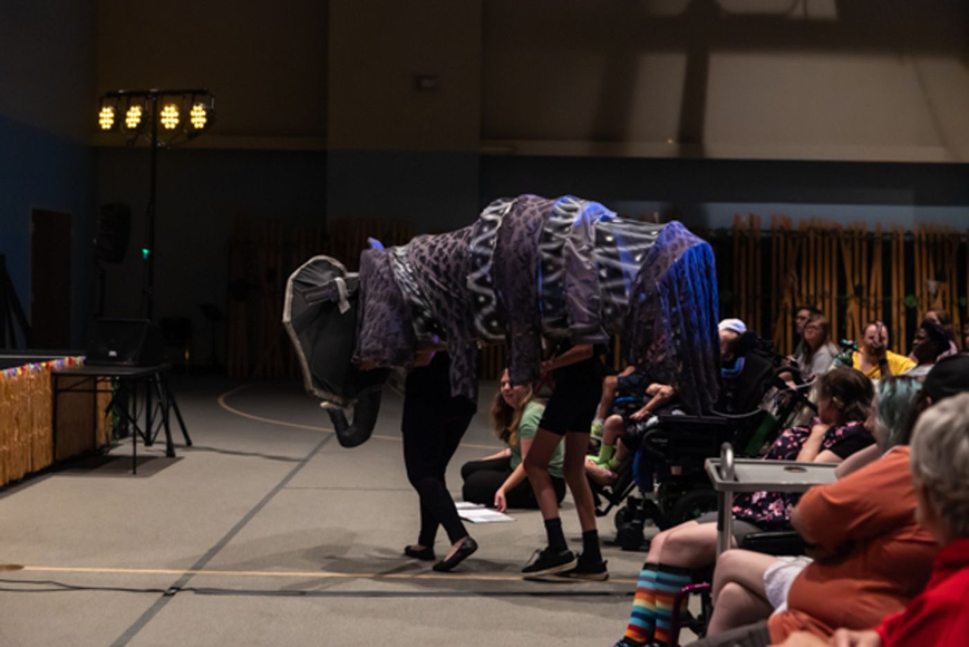 Photos: First look at Rise Up Arts Penguin Project THE LION KING JR  Image