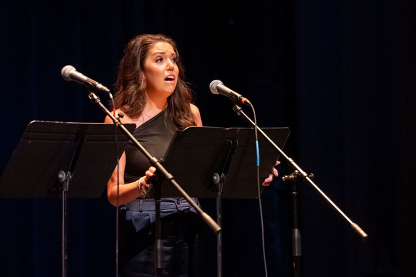 Photos: See Inside The Private Development Presentation of BORDEN: A NEW MUSICAL Photos: See Inside The Private Development Presentation of BORDEN: A NEW MUSICAL Image