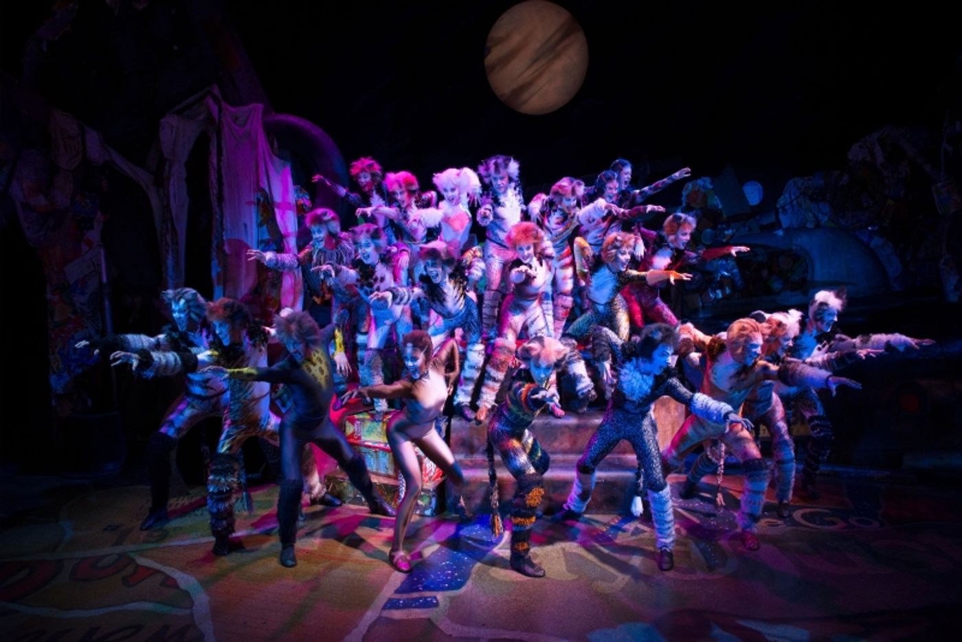Review: CATS at Landestheater Linz  Image