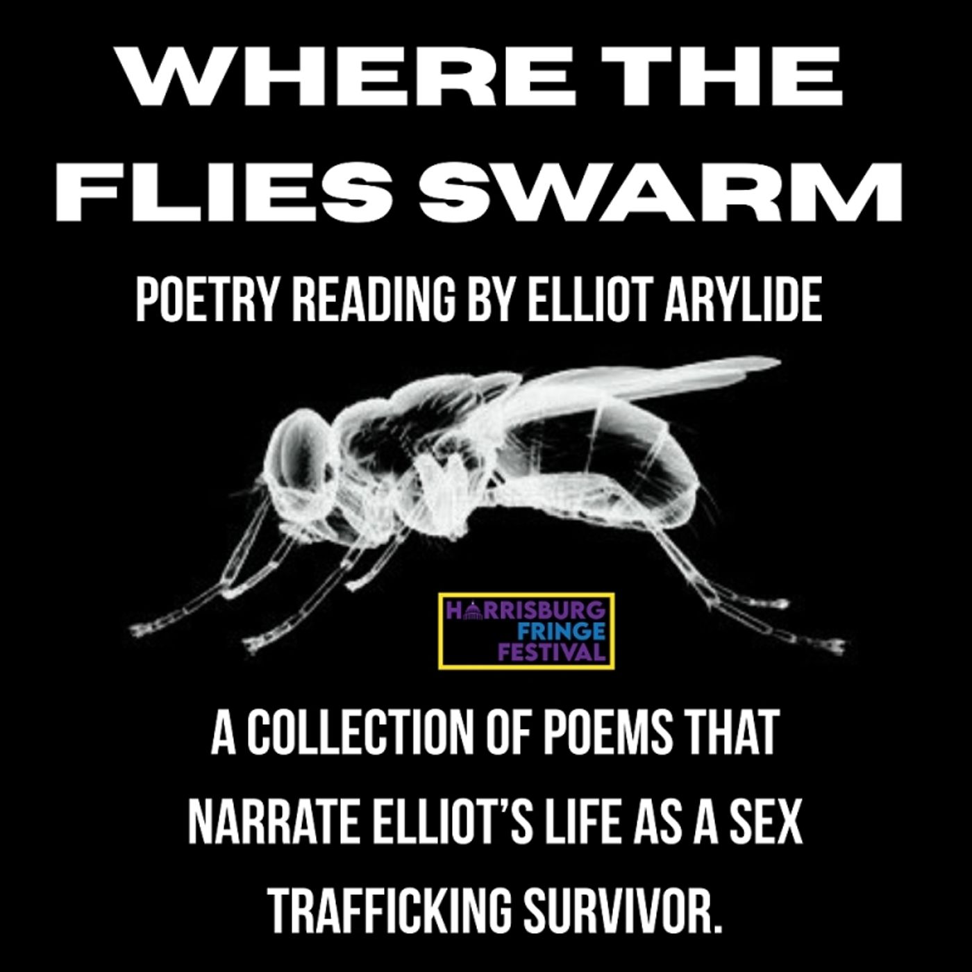 Review: HARRISBURG FRINGE FESTIVAL 2025 DAY 3 at Various Harrisburg Venues  Image