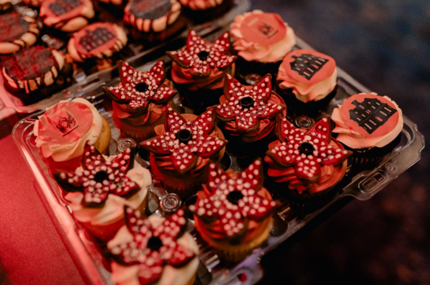 Photos: STRANGER THINGS: THE FIRST SHADOW Celebrates 100 Broadway Performances  Image