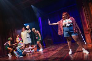 Aneesa Folds and company Photo