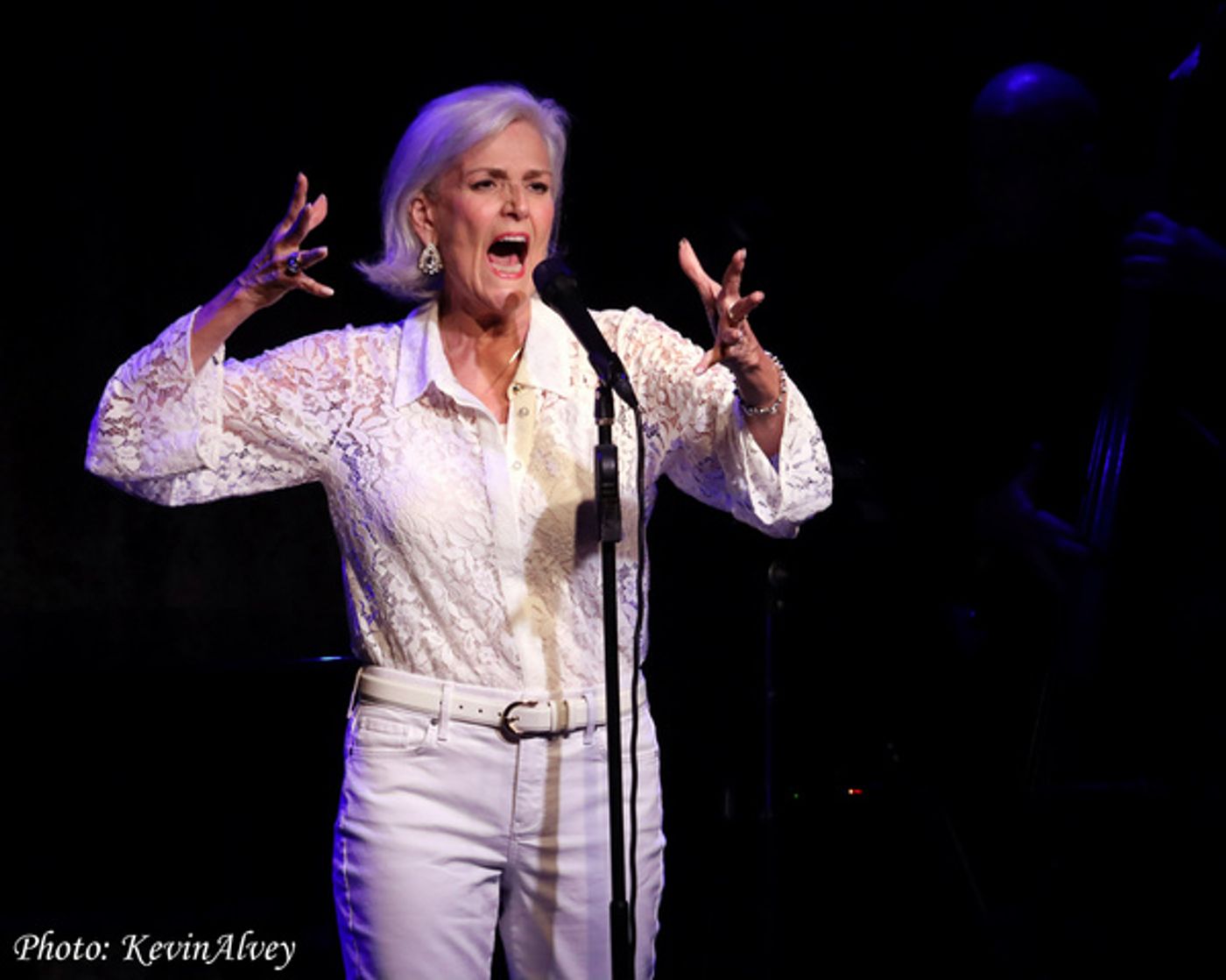 Photos: Karen Mason Celebrates Summer In Concert with SPF At Birdland  Image
