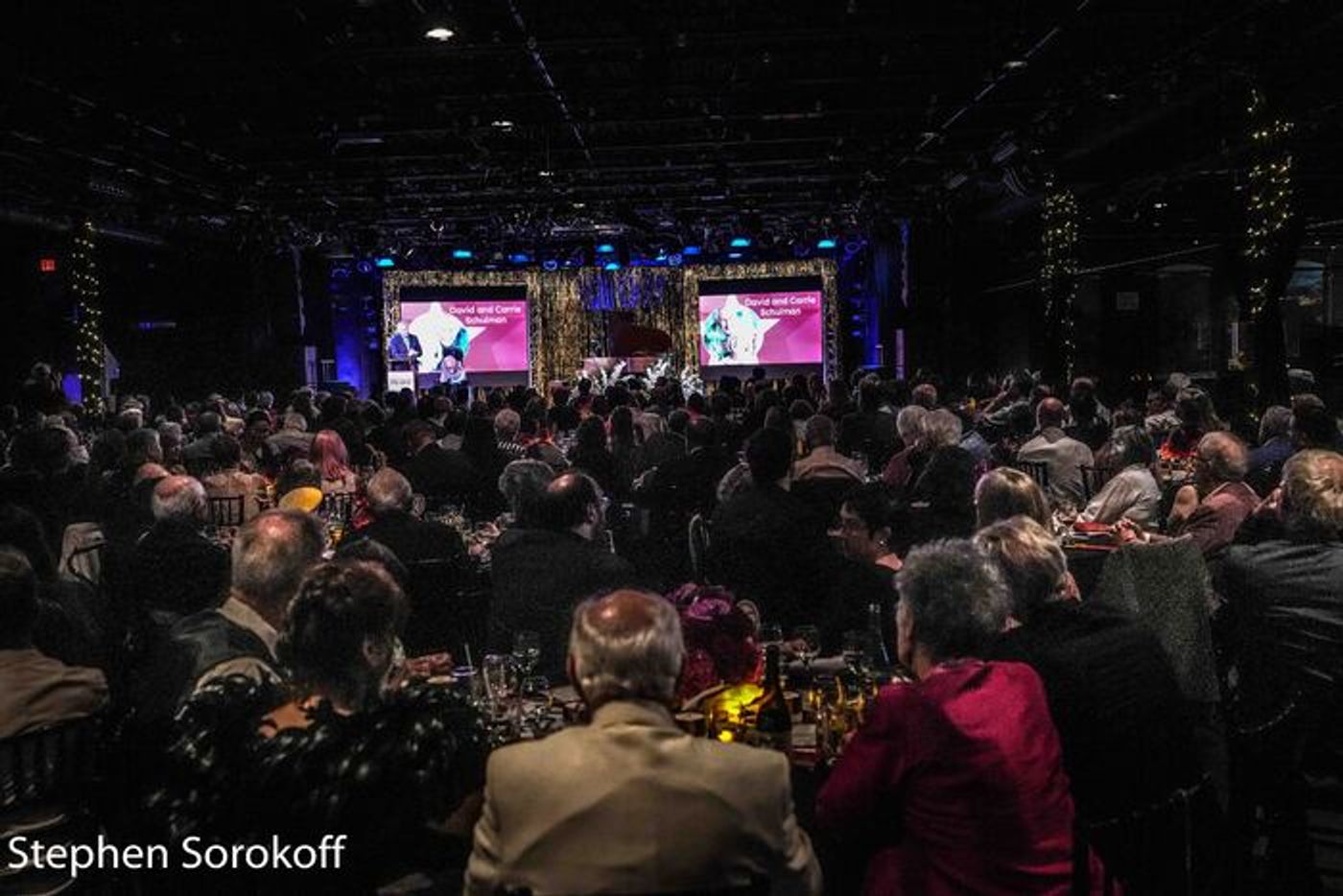 Photos: Inside Barrington Stage's Gala A NIGHT ON THE RED CARPET  Image