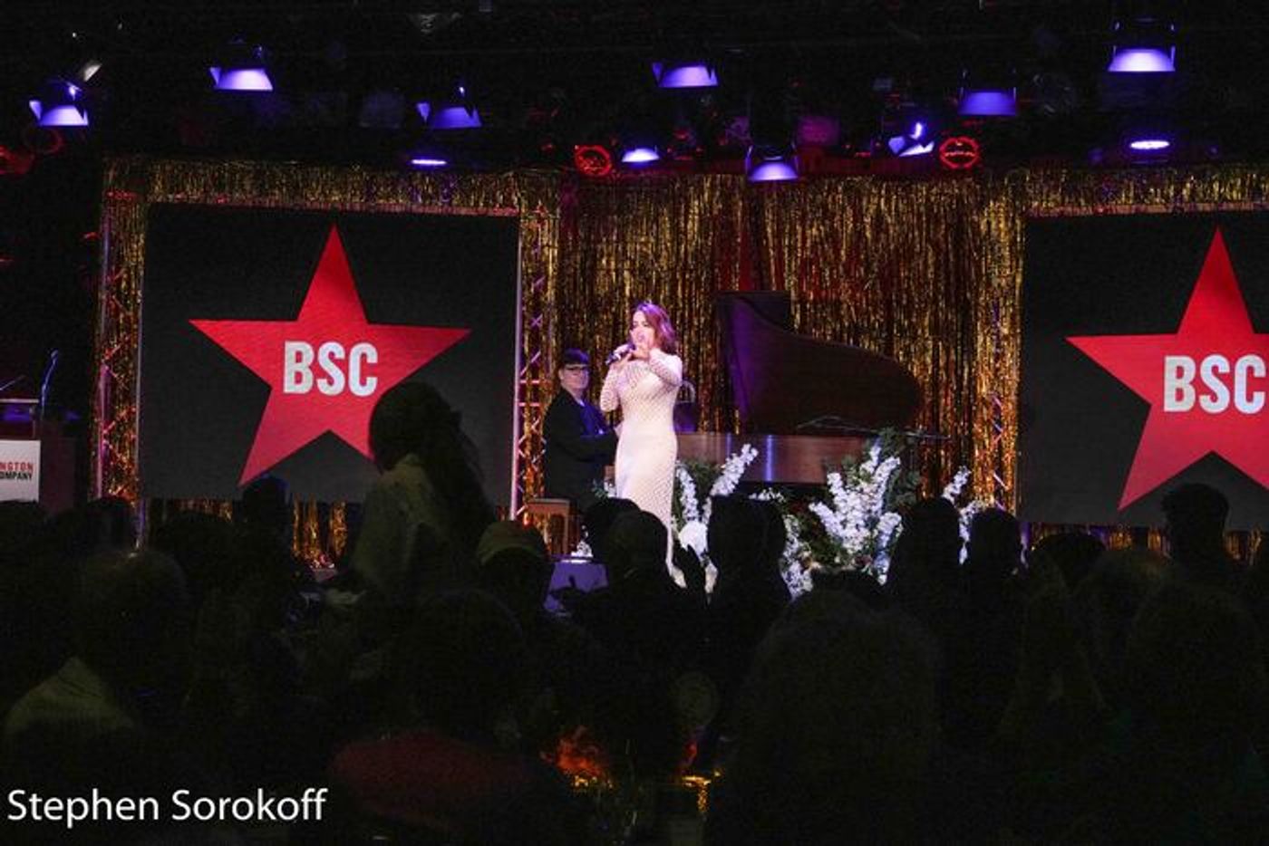 Photos: Inside Barrington Stage's Gala A NIGHT ON THE RED CARPET  Image