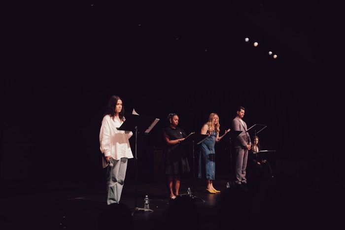 Photos: A PLAY ABOUT DAVID MAMET WRITING A PLAY ABOUT HARVEY WEINSTEIN Reading — photo 2 of 16