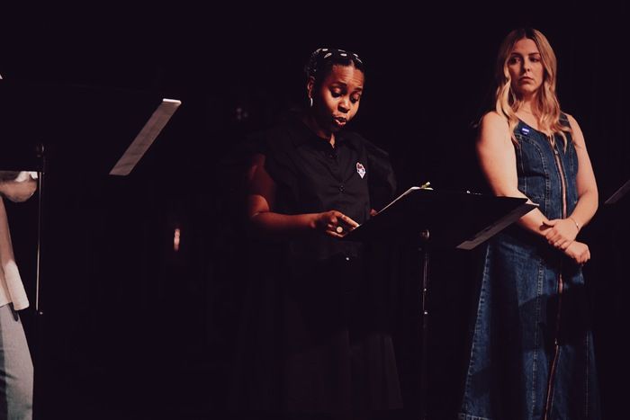 Photos: A PLAY ABOUT DAVID MAMET WRITING A PLAY ABOUT HARVEY WEINSTEIN Reading — photo 6 of 16