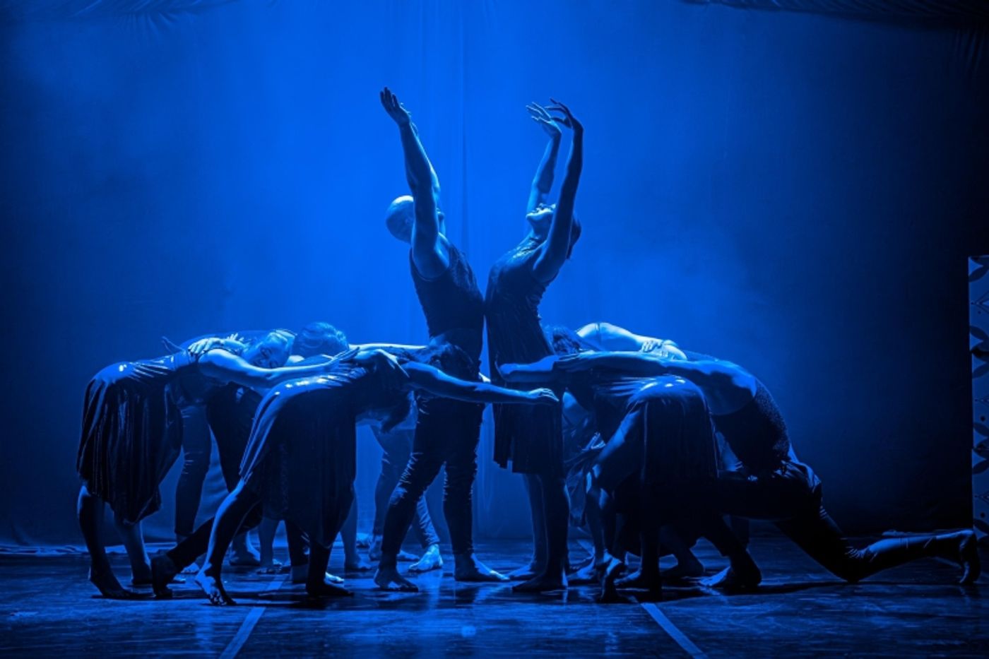 Review: BEYOND at Theatre on the Bay Is Beyond Words  Image