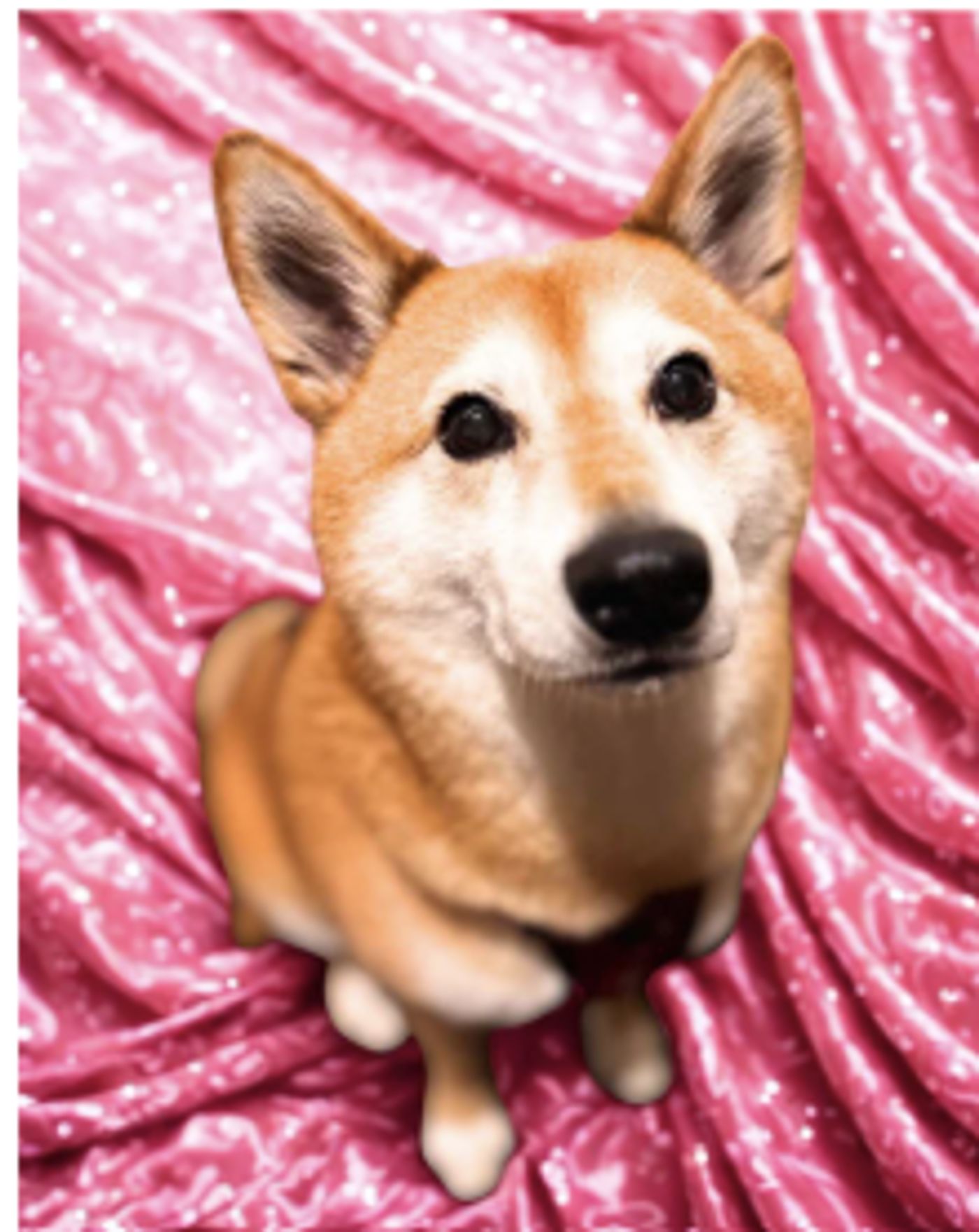 Previews: LEGALLY BLONDE The Musical JR. at The Mahaffey Theater  Image