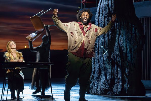 Photos: The Santa Fe Opera Presents DIE WALKURE — photo 24 of 40