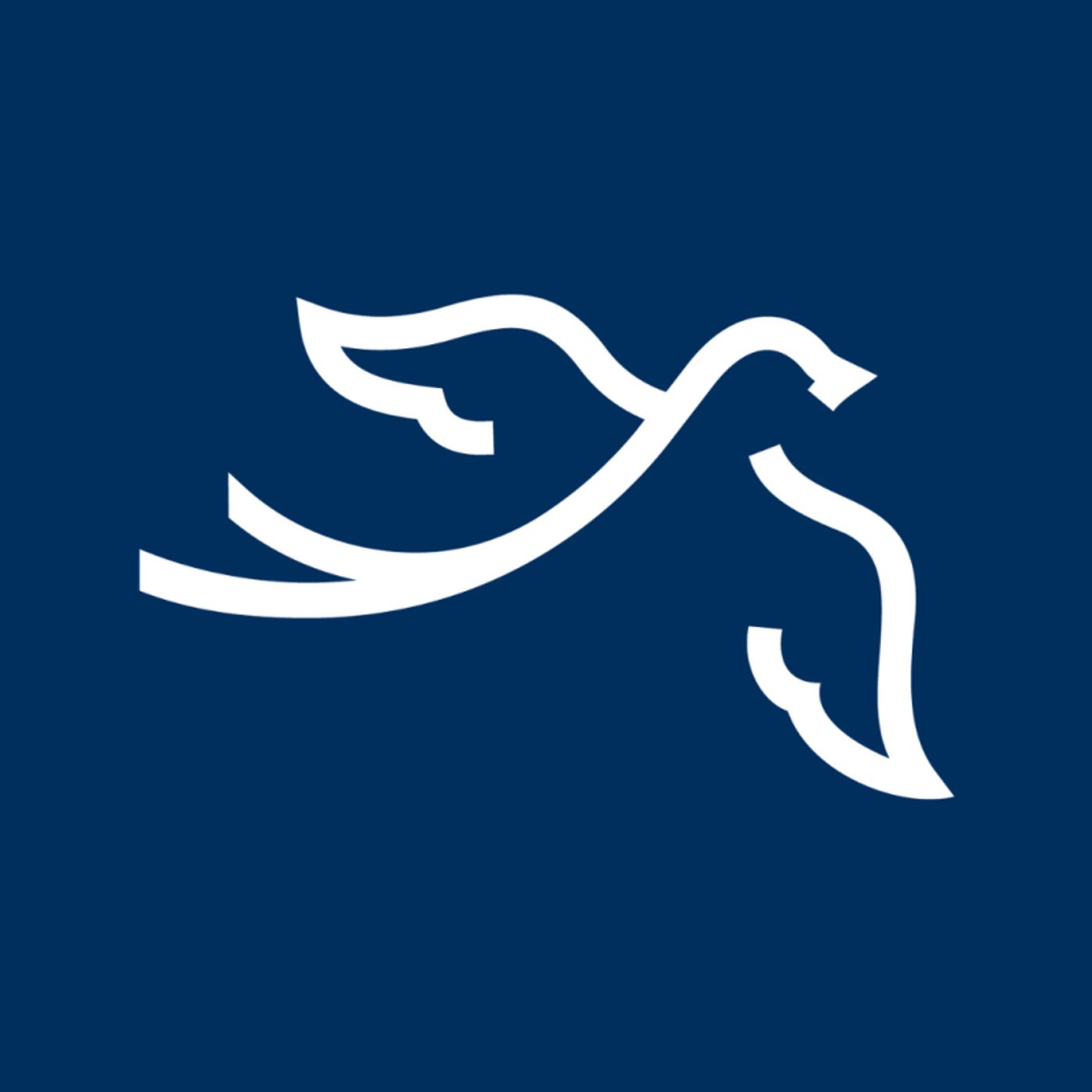 How You Can Help the Immigration Service Charities Supported by HAMILTEN  Image