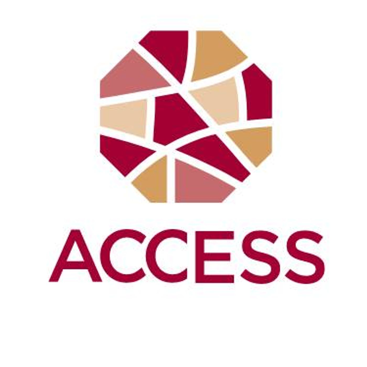 How You Can Help the Immigration Service Charities Supported by HAMILTEN  Image