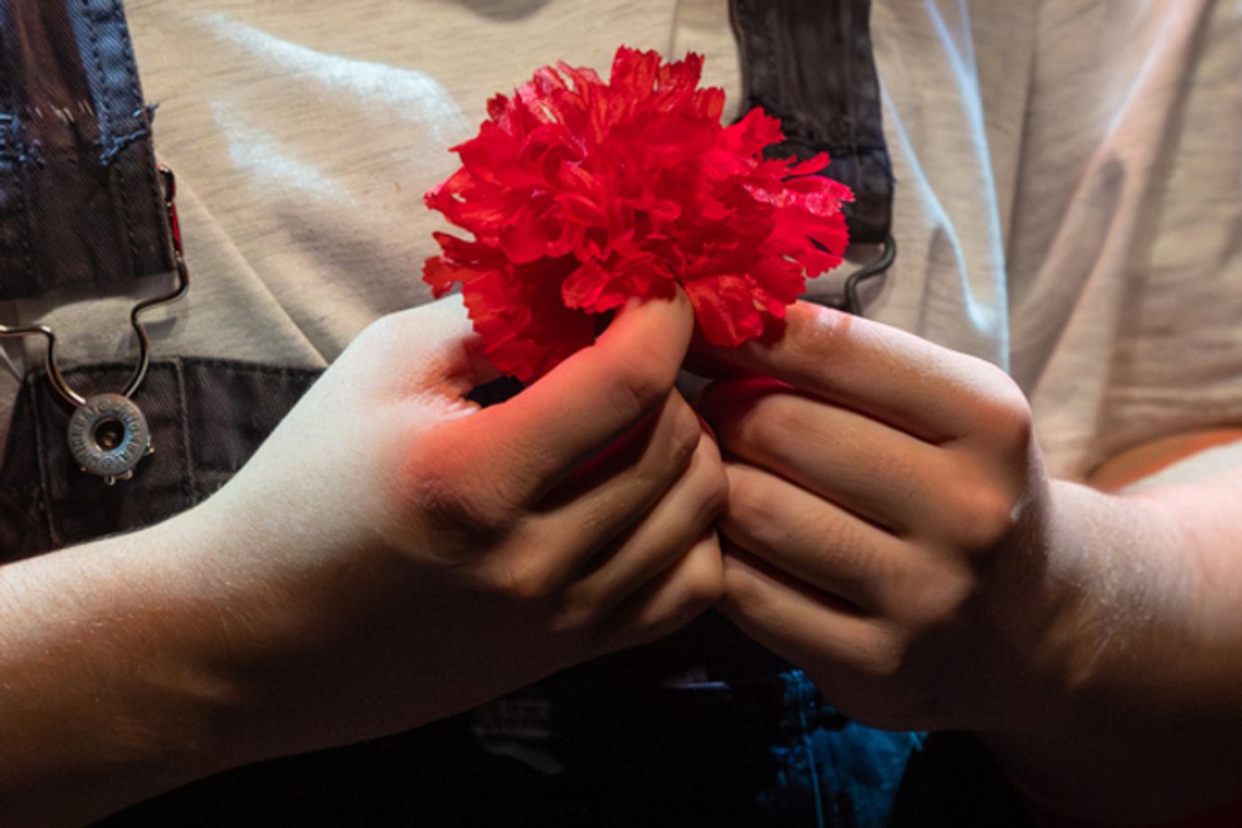 Photos: First look at Abbey Theatre of Dublin’s HADESTOWN: TEEN EDITION  Image