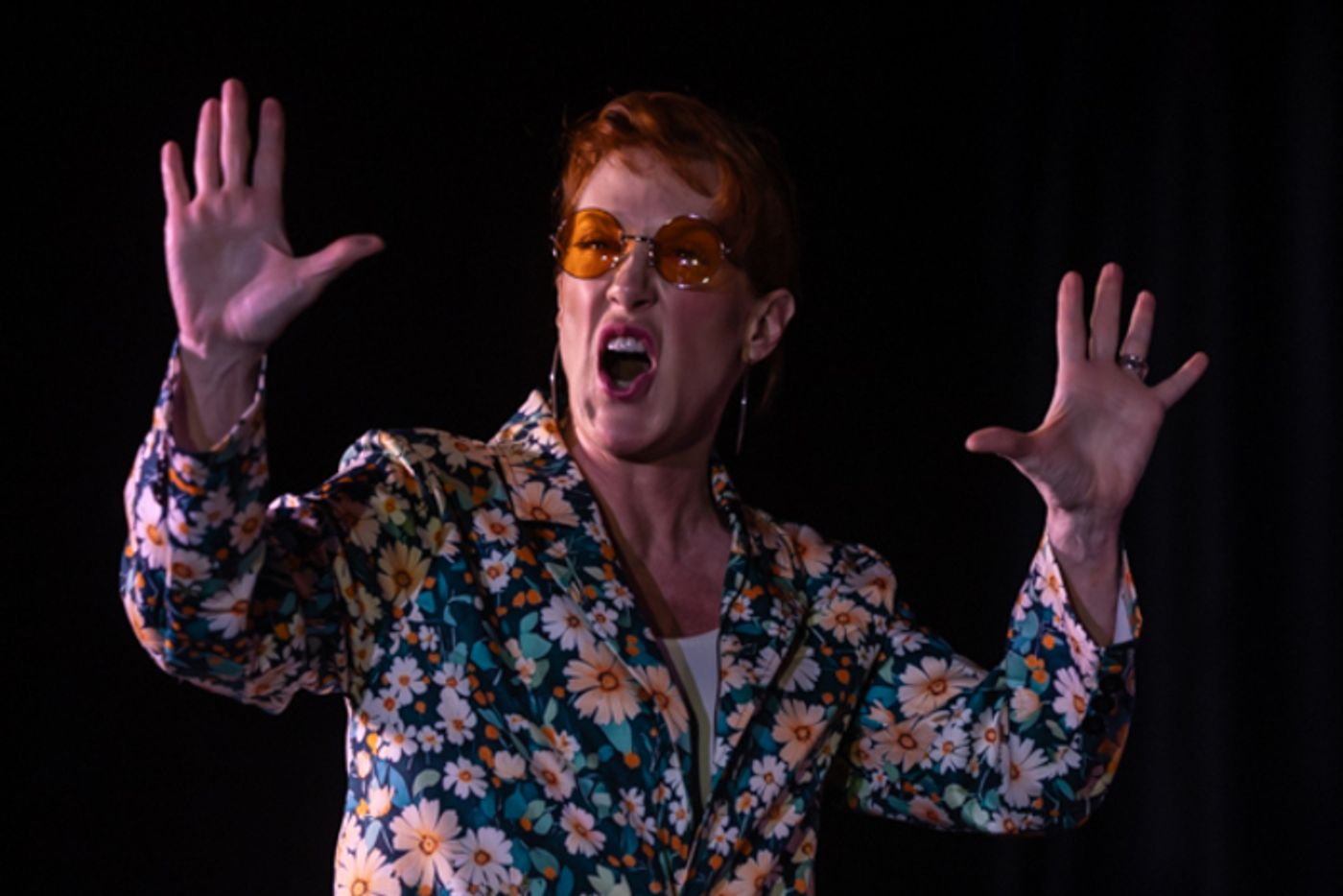 Photos: First look at Rise Up Arts Alliance’s A MIDSUMMER NIGHT’S DREAM  Image