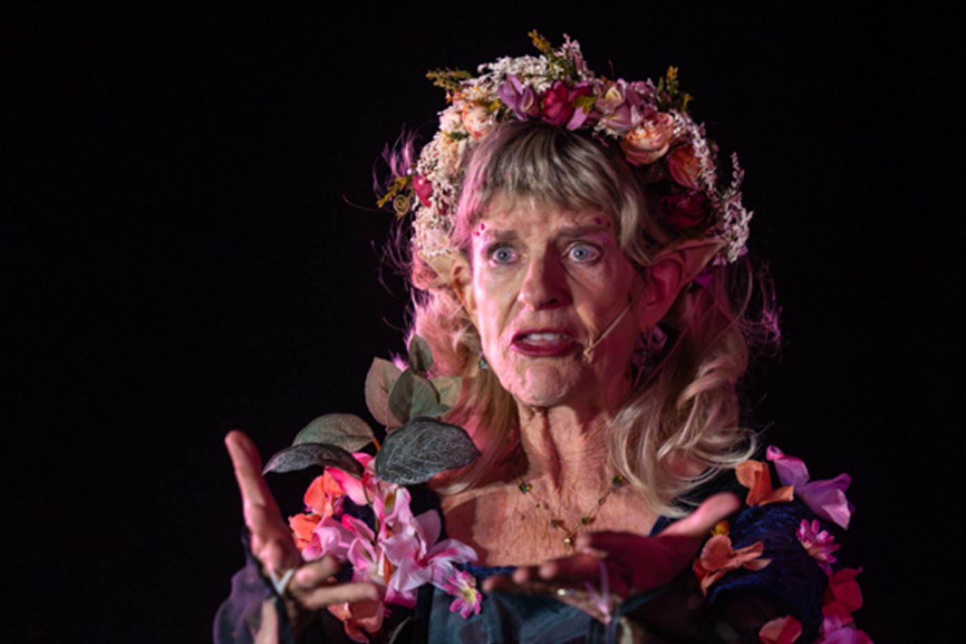 Photos: First look at Rise Up Arts Alliance’s A MIDSUMMER NIGHT’S DREAM  Image