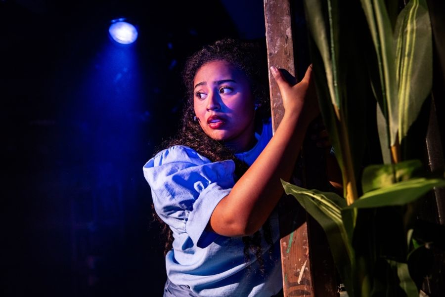 Review: ONCE ON THIS ISLAND at Hayes Theatre Potts Point Image