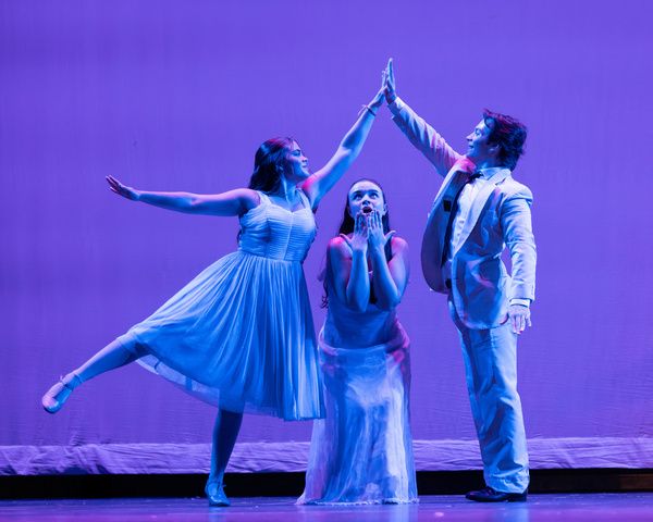 Photos: New Paradigm Theatre to Present HAIRSPRAY at Stratford High School  Image