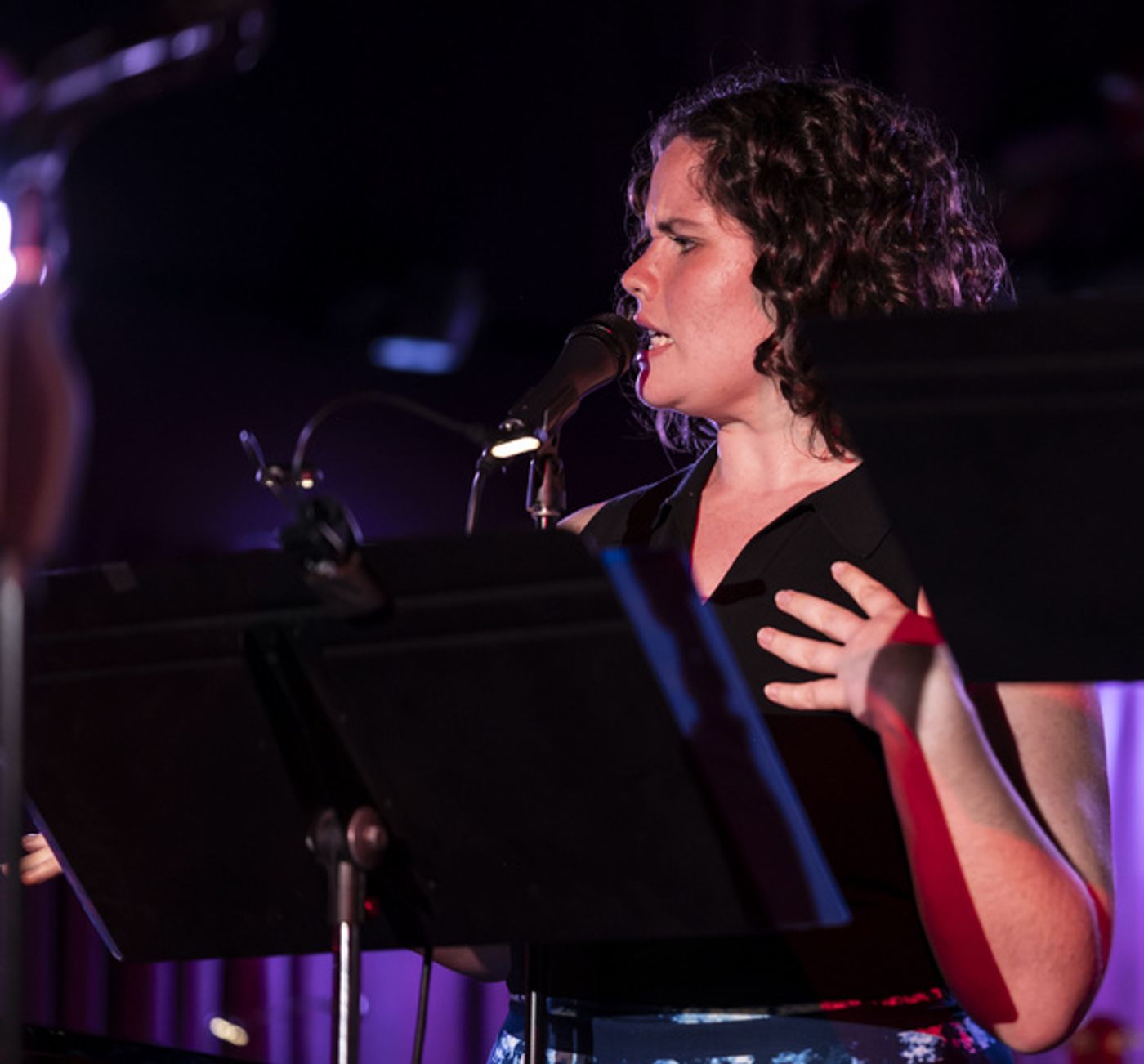Photos: Joel B. New Celebrates 20 Years of Original Musicals at The Green Room 42  Image