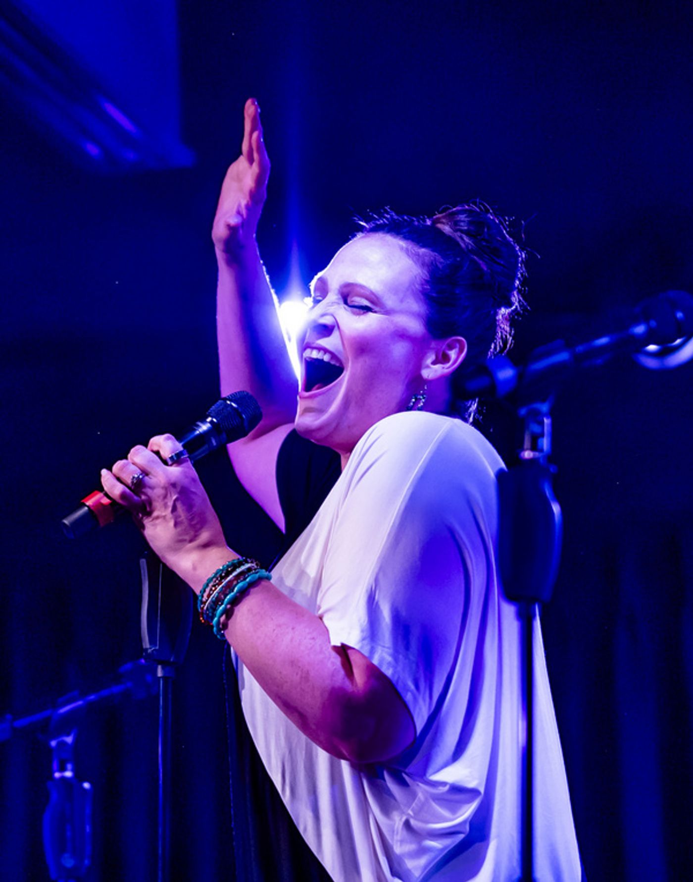 Photos: Joel B. New Celebrates 20 Years of Original Musicals at The Green Room 42  Image