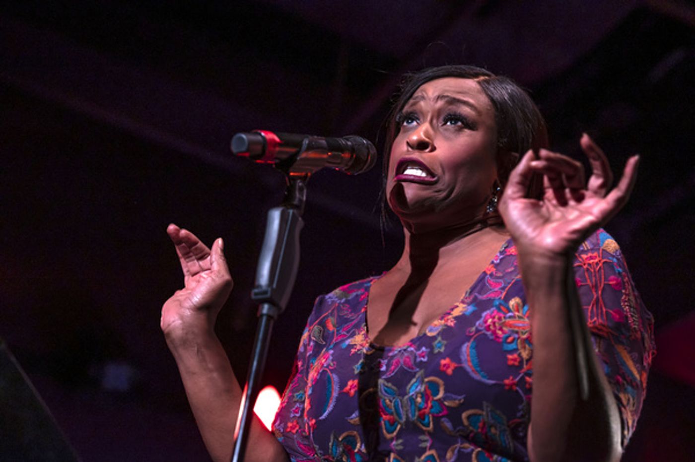 Photos: Joel B. New Celebrates 20 Years of Original Musicals at The Green Room 42  Image