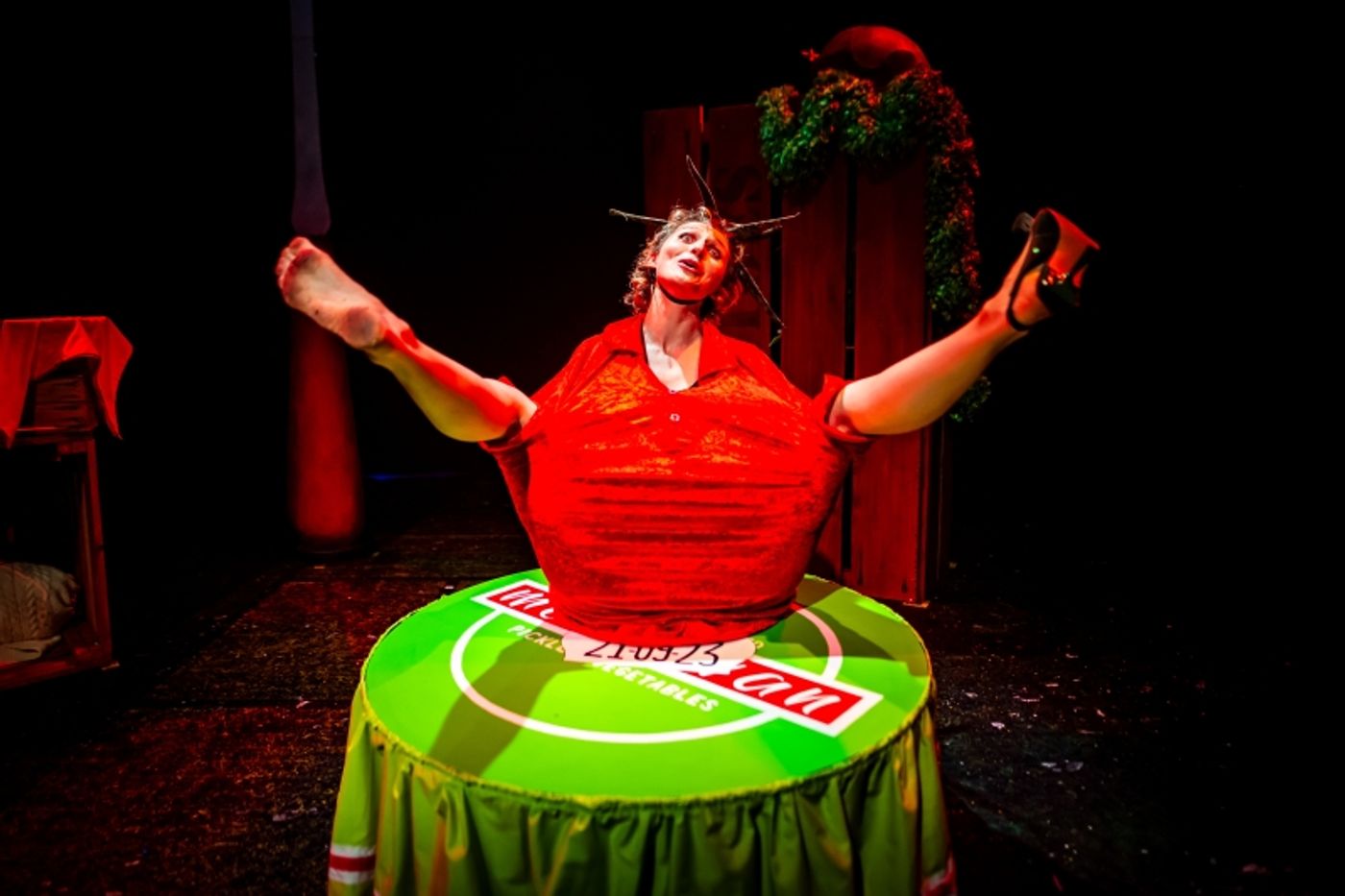 EDINBURGH 2025: Review: PICKLED REPUBLIC, Anatomy Lecture Theatre At Summerhall  Image