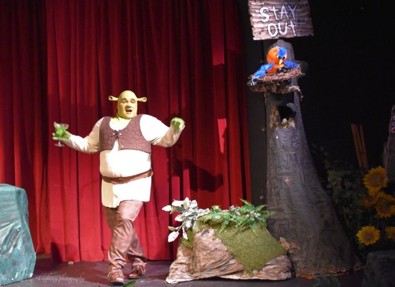 Review: SHREK THE MUSICAL at The Pocket Community Theatre  Image