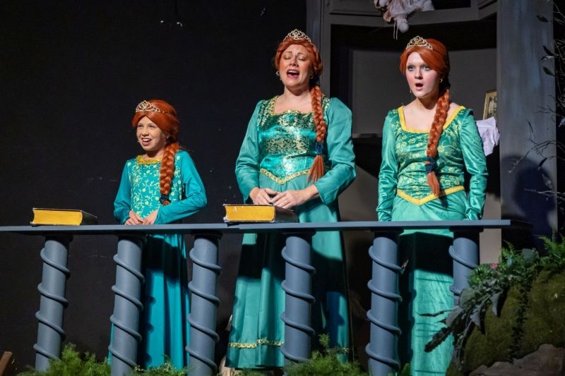 Review: SHREK THE MUSICAL at The Pocket Community Theatre  Image