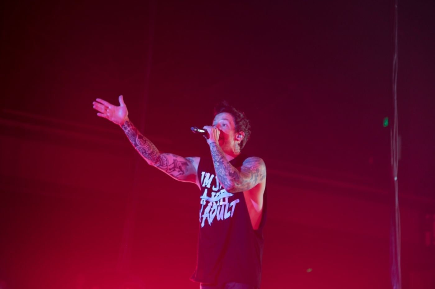 Review: SIMPLE PLAN - BIGGER THAN YOU THINK TOUR at Armory Review: SIMPLE PLAN - BIGGER THAN YOU THINK TOUR at Armory Image