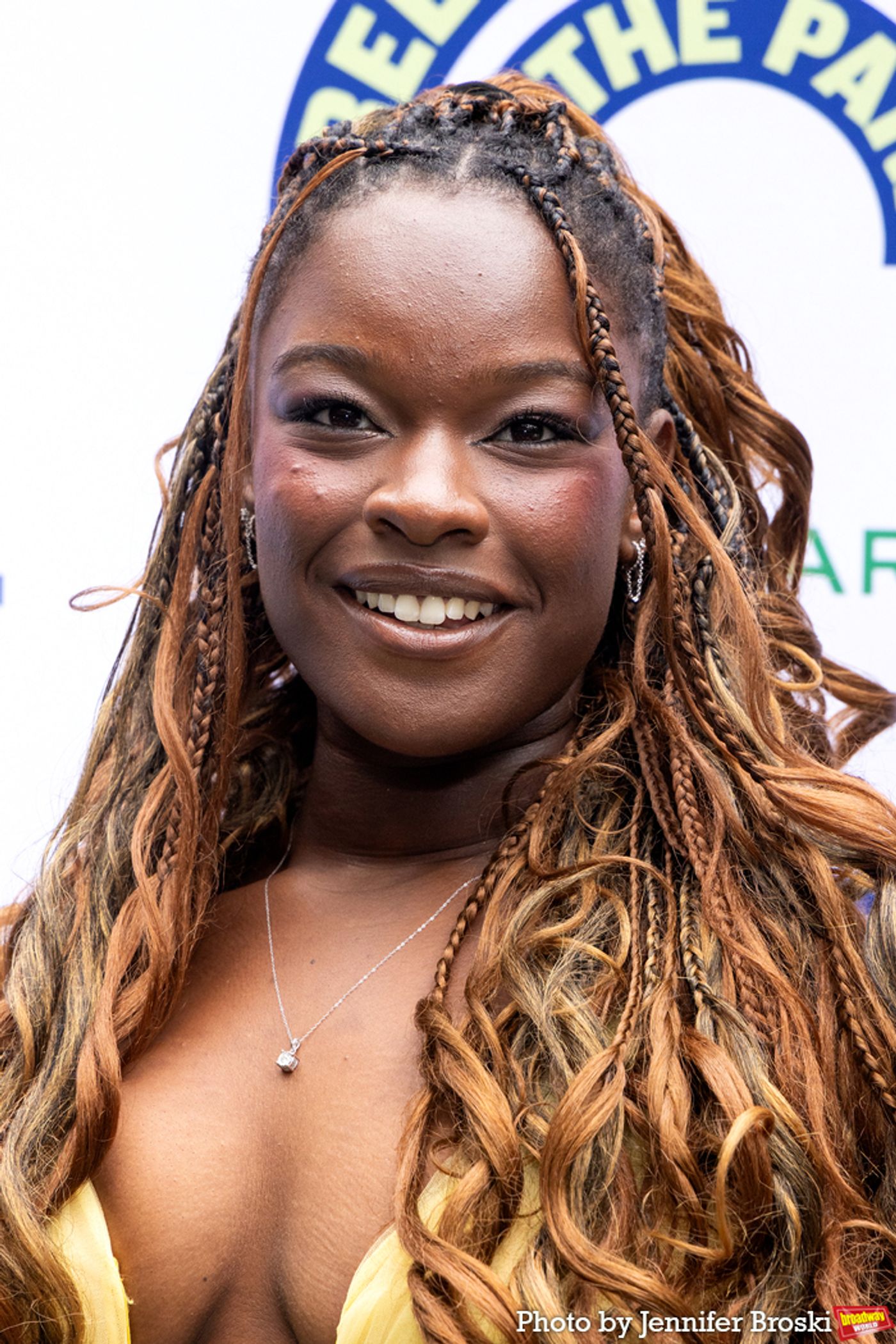 Photos: TWELFTH NIGHT Cast Celebrates Opening Night in the Park  Image