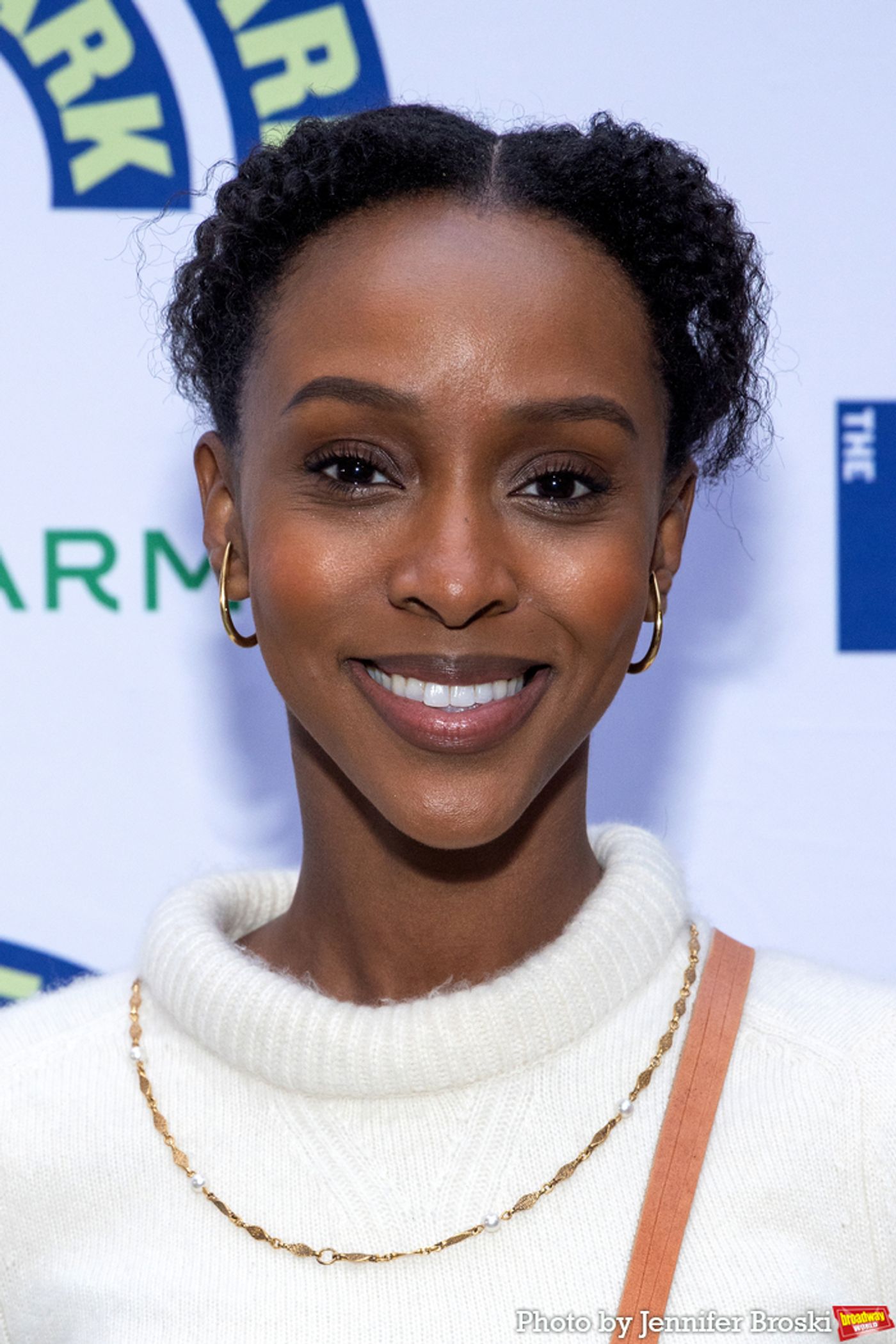 Photos: Stars Walk the Red Carpet for Opening Night of TWELFTH NIGHT  Image