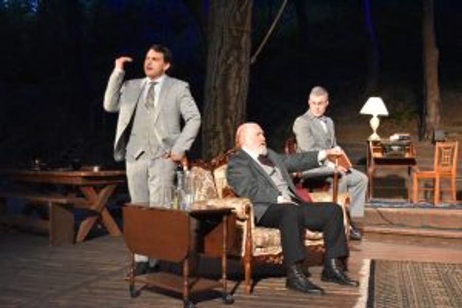 Interview: Ellen Geer on STRIFE at Theatricum Botanicum Image