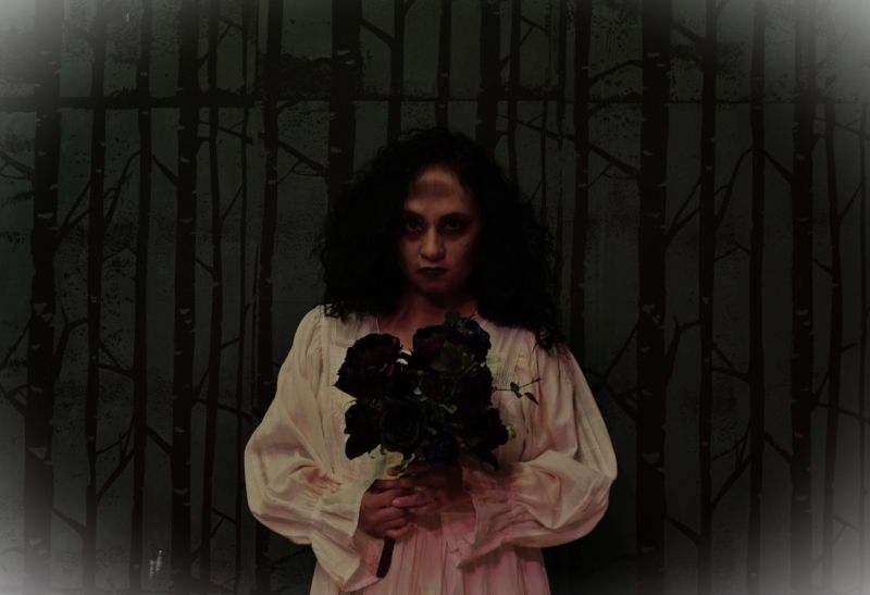 Review: JANE EYRE at Twin Lakes Playhouse in Mountain Home  Image