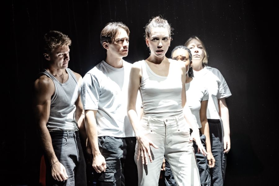 Review: INVASIVE SPECIES, King's Head Theatre Image
