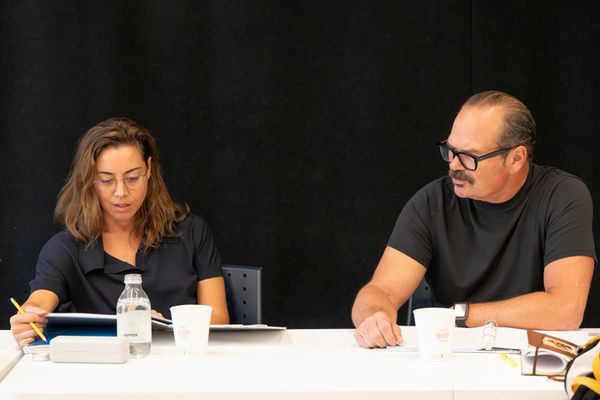 Aubrey Plaza and Chris Bauer  Photo