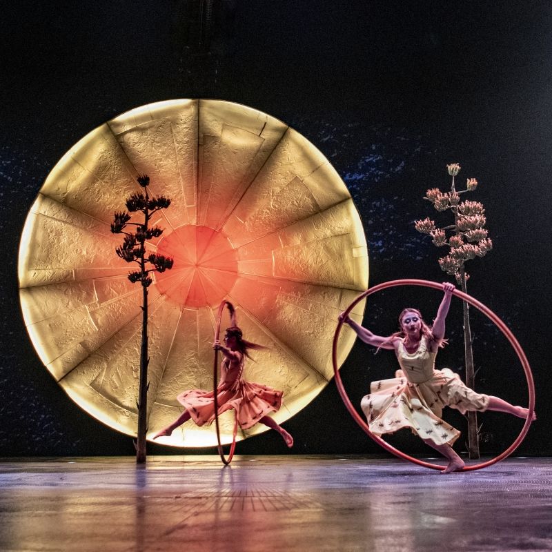 Review: LUZIA at Cirque Du Soliel Image