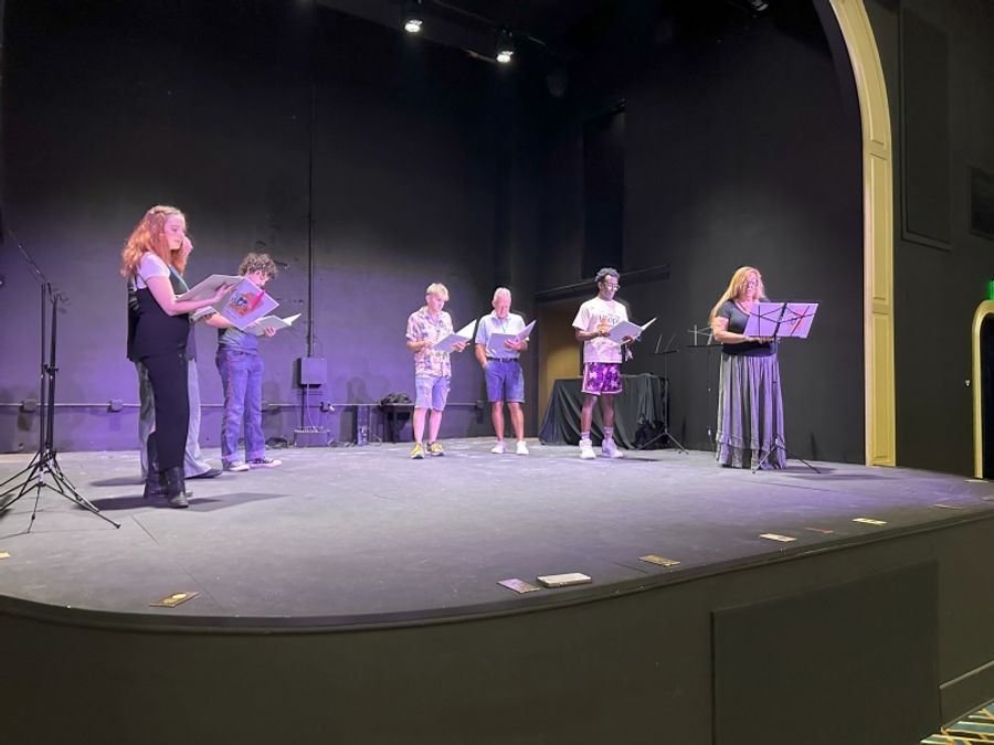Previews: PLAY FESTIVAL at The Beach Theatre Image